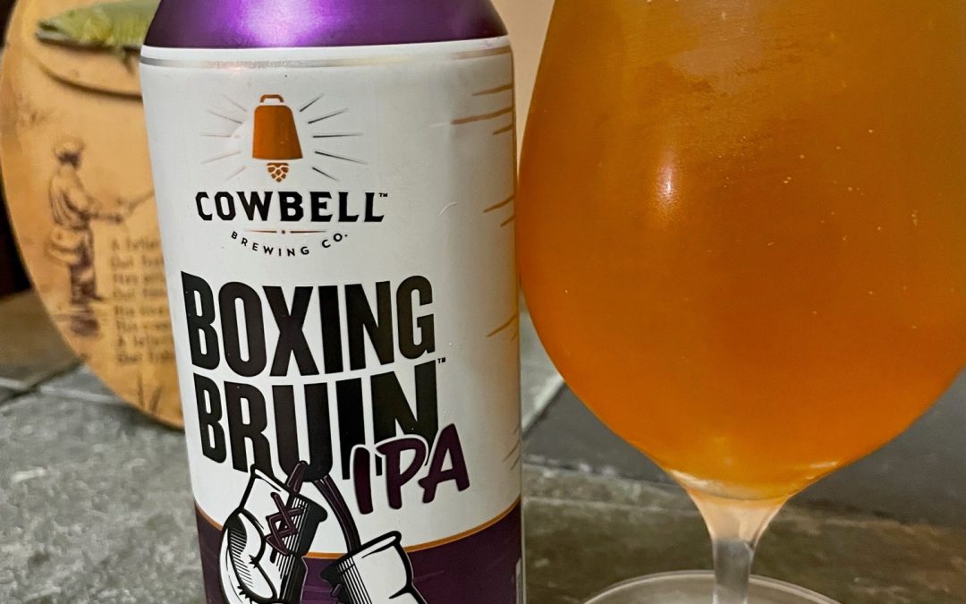 Boxing Bruin Downed in the First Round