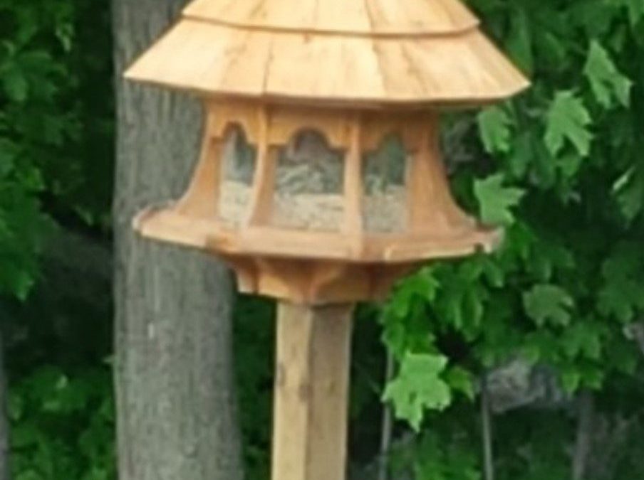 The Most Spectacular Bird Feeder in the World: A COMDB Christmas Story