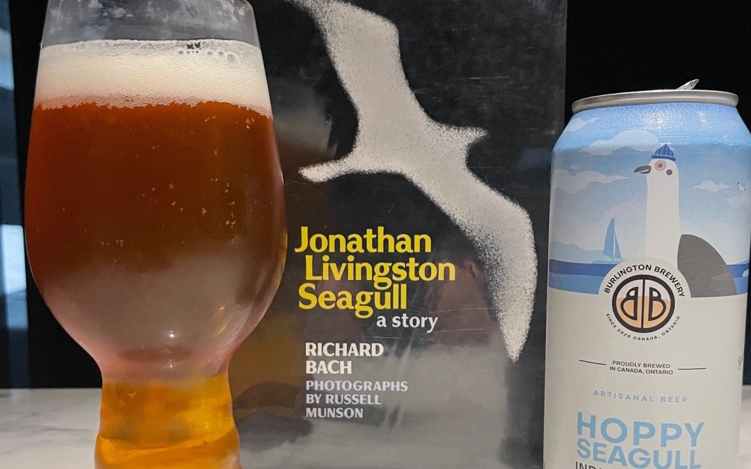Seagull Suds and the Pursuit of Hoppiness