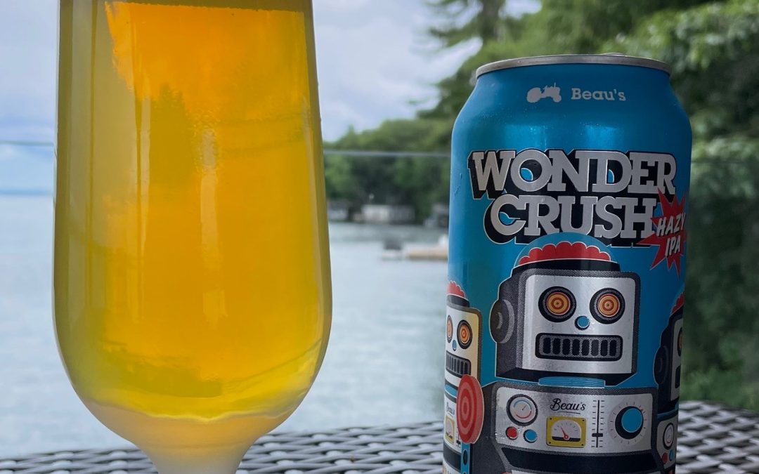 A Wonder Full Glass of Beer