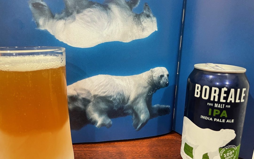 That’s One Bitter Bear You’ve Got There