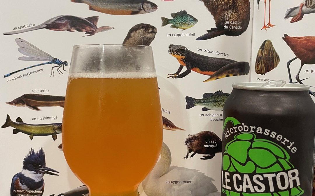 A Beaver Brewed Beer