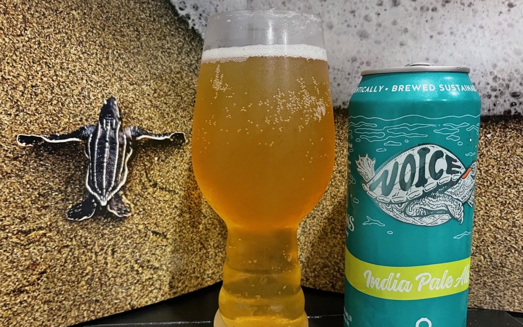 A Parsons Pint Brew Review Turns One into Two