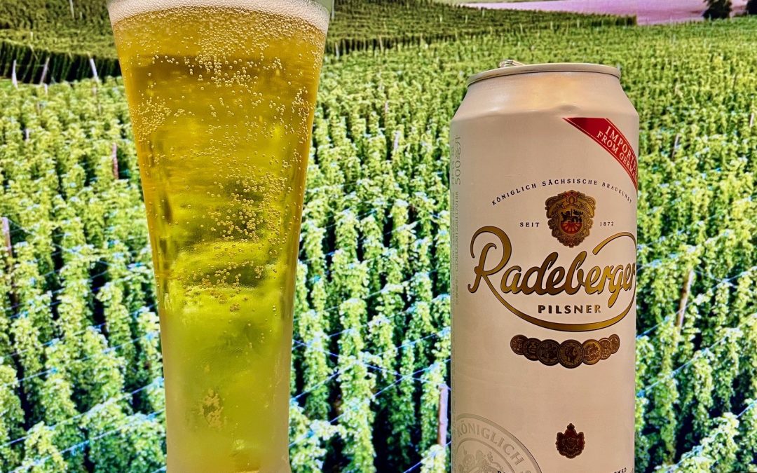 Important Information for Planning Your Next Trip to Radeberg Germany