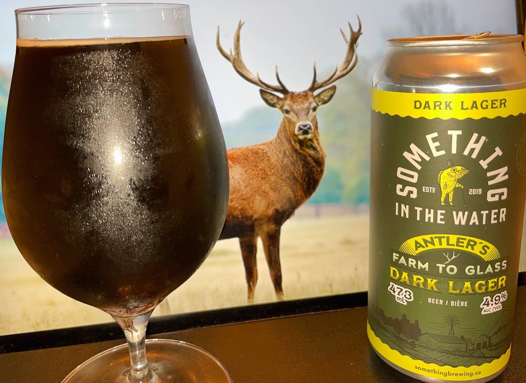 antlers dark lager