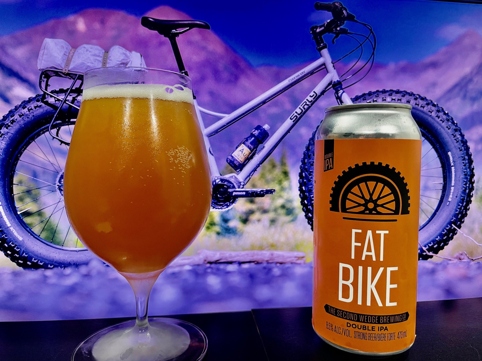 Fat Bike